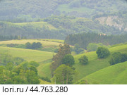 Rural Basque country lifestyle. Farming, private houses, herds of sheeps grazing in the meadow. Green country. Ecological and healthy concepts. (2019 год). Стоковое фото, фотограф YuryKara / Фотобанк Лори