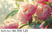 Illustration of peony flowers, A bouquet of beautiful peonies for design. Стоковое AI-изображение, AI-художник Ирина Ручушкина / Фотобанк Лори