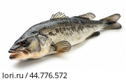 A large fish laying on a white surface with its mouth open. Стоковое AI-изображение, AI-художник Margarita Davchenko / Фотобанк Лори