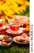 Red carcade tea with cookies and candy in fall. Autumn picnic on grass under trees. Sweets Day. Copy space. Стоковое фото, фотограф Алла Чесноковва / Фотобанк Лори