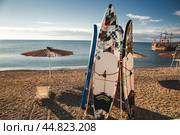 Сапы (2021 год). Редакционное фото, фотограф Ольга Дубровская / Фотобанк Лори