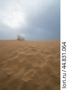 View of the Kyzylkum desert (2022 год). Стоковое фото, фотограф Юлия Белоусова / Фотобанк Лори