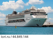 Cruise ship MSC Opera. Cruise Line MSC, cruise ship MSC Opera sails from port Sir Bani Yas (2023 год). Редакционное фото, фотограф Павел Муравьев / Фотобанк Лори