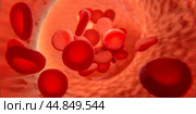 Blood cells in vein. Red blood cells circulating in blood vessels. medical health care. Vascular therapy. 3d illustration. Стоковая иллюстрация, иллюстратор Павел Муравьев / Фотобанк Лори