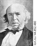 Herbert Spencer, 1820 - 1903, English philosopher and sociologist, illustration from Plutarch of the 19 century, St. Petersburg, Russia, 1902-1903. Стоковое фото, фотограф Константин Тимофеев / Фотобанк Лори
