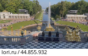 PETERGOF, SAINT PETERSBURG, RUSSIA - September 17, 2024: Video of the beautiful Samson Canal and fountain on Lower park of Peterhof on sunny summer day. Top view. City popular landmark. Редакционное видео, видеограф Виктория Катьянова / Фотобанк Лори