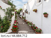 Street in the village of thrulls with white walls of houses, decorated with bright multi-colored flowers. Alberobello, Puglia, Italy (2019 год). Стоковое фото, фотограф Лариса Гордеева / Фотобанк Лори