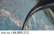 The rapid movement of the bicycle wheel along the autumn path of the park. Front view. Стоковое видео, видеограф Ярославский Максим / Фотобанк Лори