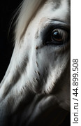 Closeup white horse eye, portrait of animal on dark background. Ai generated. Стоковое AI-изображение, AI-художник Ксения Лаптева / Фотобанк Лори