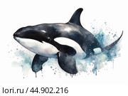 Watercolor killer whale illustration on white background. Стоковое AI-изображение, AI-художник Ксения Лаптева / Фотобанк Лори