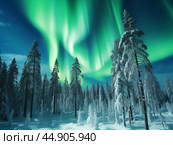 Nothern lights winter landscape. New Year concept. Стоковое AI-изображение, AI-художник Ксения Лаптева / Фотобанк Лори