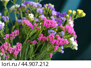 Bouquet of multicolored flowers in a vase (Limonium sinuatum, Statice sinuata) on a green background. Стоковое фото, фотограф Ирина Вершинская / Фотобанк Лори