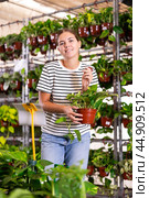 Positive girl choosing potted epipremnum aureum in gardening store. Стоковое фото, фотограф Яков Филимонов / Фотобанк Лори