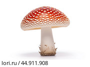 Mushroom Amanita on white background. Стоковое AI-изображение, AI-художник Veniamin Kraskov / Фотобанк Лори
