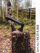 An axe will be stuck into a wooden log. Harvesting firewood for the winter season. Logging on the background of the forest. Lumber, wood-cutting tools. Стоковое фото, фотограф Photojuli / Фотобанк Лори