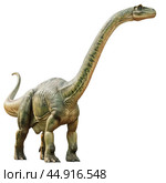 Brachiosaurus dinosaur standing on white background. Стоковое AI-изображение, AI-художник Иван Рябоконь / Фотобанк Лори