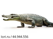 A gharial, a long-snouted crocodile with a narrow muzzle on white background. Стоковое AI-изображение, AI-художник Veniamin Kraskov / Фотобанк Лори