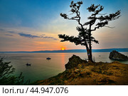 Дерево желаний на мысе Бурхан острова Ольхон на Байкале. Стоковое фото, фотограф Александр Тараканов / Фотобанк Лори