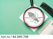 Anti lice equipment on green background top view. Стоковое фото, фотограф Сергей Толмачёв / Фотобанк Лори