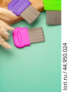 Three combs for lice removing on green background. Стоковое фото, фотограф Сергей Толмачёв / Фотобанк Лори