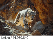 A snow leopard displaying its stealth and predatory instincts in the shadows of a rocky landscape. Стоковое AI-изображение, AI-художник Veniamin Kraskov / Фотобанк Лори