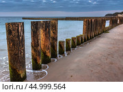 Wooden groynes on beach of Baltic sea in Svetlogorsk at sunset. Kaliningrad region. Russia (2021 год). Стоковое фото, фотограф Elena Odareeva / Фотобанк Лори