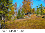 Древние горы Хакасии. Каменный парк. (Ширинские Столбы) (2019 год). Редакционное фото, фотограф Александр Галинский / Фотобанк Лори
