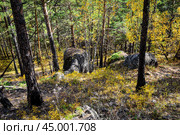 Древние горы Хакасии. Каменный парк. (Ширинские Столбы) (2019 год). Редакционное фото, фотограф Александр Галинский / Фотобанк Лори