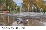 ANGARSK, IRKUTSK REGION, RUSSIA - October 02, 2024: Video of popular Family Square with beautiful fountain, benches, footpaths and trees; and pigeons also walk on water on sunny autumn day. Редакционное видео, видеограф Виктория Катьянова / Фотобанк Лори