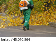 Cleaning falling leaves on a city street in the autumn dry time. Using leaf blower for cleaning of the road in the park. Seasonal occupation concept. Стоковое фото, фотограф YuryKara / Фотобанк Лори