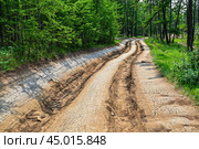 Колея грунтовой дороги. Остров Ольхон. Стоковое фото, фотограф Александр Тараканов / Фотобанк Лори
