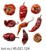 Collection of dried red chili peppers and tomatoes isolated on white background. Стоковое AI-изображение, AI-художник Иван Рябоконь / Фотобанк Лори
