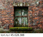 Old brick wall. Efflorescence is a whitish trace on the surface of brickwork, represented by a mixture of chemical compounds of salts. Mold on a wet wall, lichens, moss. Стоковое AI-изображение, AI-художник Сергей Елизарьев / Фотобанк Лори