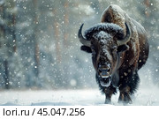 Powerful european bison standing in snowfall in winter forest. Стоковое AI-изображение, AI-художник Иван Рябоконь / Фотобанк Лори