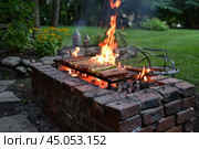Fire burning in backyard brick barbecue grill cooking vegetables. Стоковое AI-изображение, AI-художник Иван Рябоконь / Фотобанк Лори