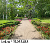 Ботанический сад имени И.С. Косенко, Краснодар (2023 год). Стоковое фото, фотограф Мария Кылосова / Фотобанк Лори