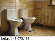 Two white toilets standing in vintage bathroom with yellow tiles. Стоковое AI-изображение, AI-художник Иван Рябоконь / Фотобанк Лори