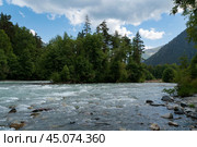 View of the confluence of the Kyzgych and Psysh rivers forming the Bolshoy Zelenchuk River in the northern foothills of the Caucasus Mountains on a summer day, Arkhyz, Karachay-Cherkessia, Russia. Стоковое фото, фотограф Ula Ulachka / Фотобанк Лори