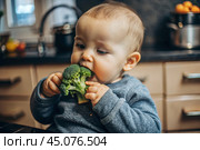 Healthy baby food. The first meal. Feeding the baby. A cute kid tastes broccoli. Fresh vegetables and fruits. Стоковое AI-изображение, AI-художник Photojuli / Фотобанк Лори
