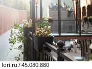 Fragment of one of the levels of a multi-level building with containers of flowers in the foreground. Blurred image of a stone castle in the background. Стоковое фото, фотограф Роман Дзюбало / Фотобанк Лори