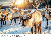 Reindeer graze against the background of a winter tundra landscape. Snow is falling. Snowstorm. Стоковое AI-изображение, AI-художник Photojuli / Фотобанк Лори