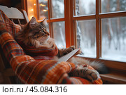Кот ученый. Стоковое AI-изображение, AI-художник Щеголева Ольга / Фотобанк Лори