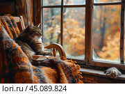 Кот дремлет в уютном кресле. Стоковое AI-изображение, AI-художник Щеголева Ольга / Фотобанк Лори