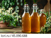 Kombucha healthy drink in bottles with herbs and flowers on wooden table. Стоковое AI-изображение, AI-художник Иван Рябоконь / Фотобанк Лори