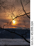 Весеннее закатное солнце сквозь тонкие ветви деревьев. The spring setting sun through the thin branches of the trees. Стоковое фото, фотограф Евгений Романов / Фотобанк Лори