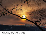 Весеннее закатное солнце сквозь тонкие ветви деревьев. The spring setting sun through the thin branches of the trees. Стоковое фото, фотограф Евгений Романов / Фотобанк Лори