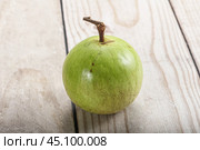 Tropical sweet fruit Sapote Star apple. Стоковое фото, фотограф Андрей Старостин / Фотобанк Лори