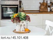 Still-life. A bouquet of decorative cabbage in a vase, pumpkins and white houses on the table in the interior of a home kitchen. A cozy autumn concept. Стоковое фото, фотограф Photojuli / Фотобанк Лори