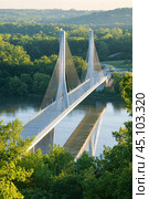 Cable-stayed bridge spanning a river and surrounded by forest. Стоковое AI-изображение, AI-художник Юрий Поздников / Фотобанк Лори