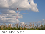 Вышка сотовой связи в Московской области (2009 год). Стоковое фото, фотограф Мария Деркунская / Фотобанк Лори